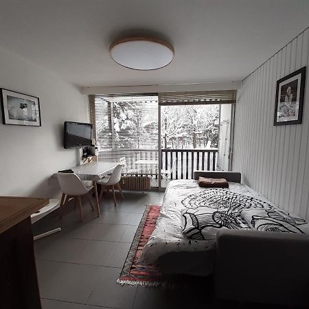 Studio Quartier Calme Centre Ville Vue Mont Blanc 샤모니 외부 사진