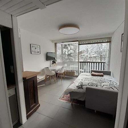 Studio Quartier Calme Centre Ville Vue Mont Blanc 샤모니 외부 사진