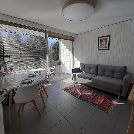 Studio Quartier Calme Centre Ville Vue Mont Blanc 샤모니 외부 사진