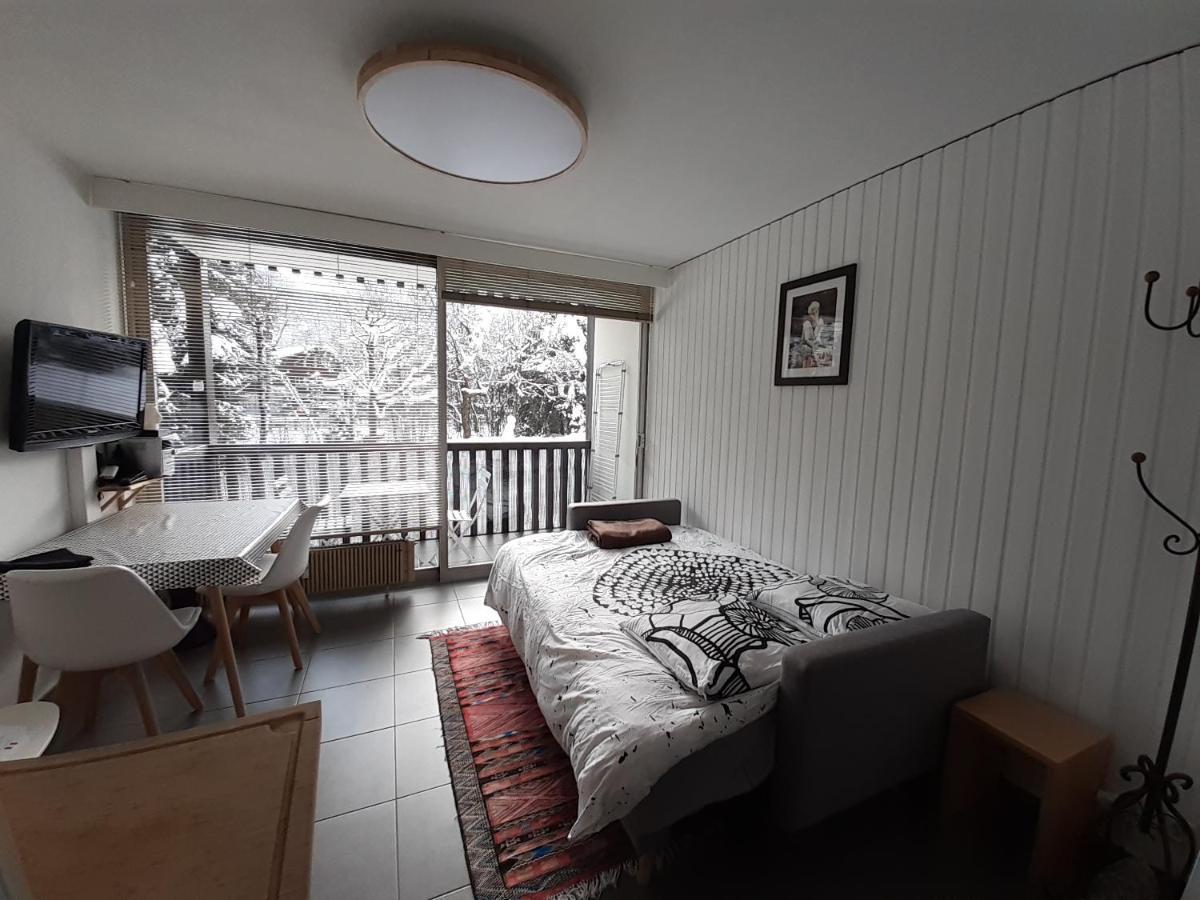 Studio Quartier Calme Centre Ville Vue Mont Blanc 샤모니 외부 사진