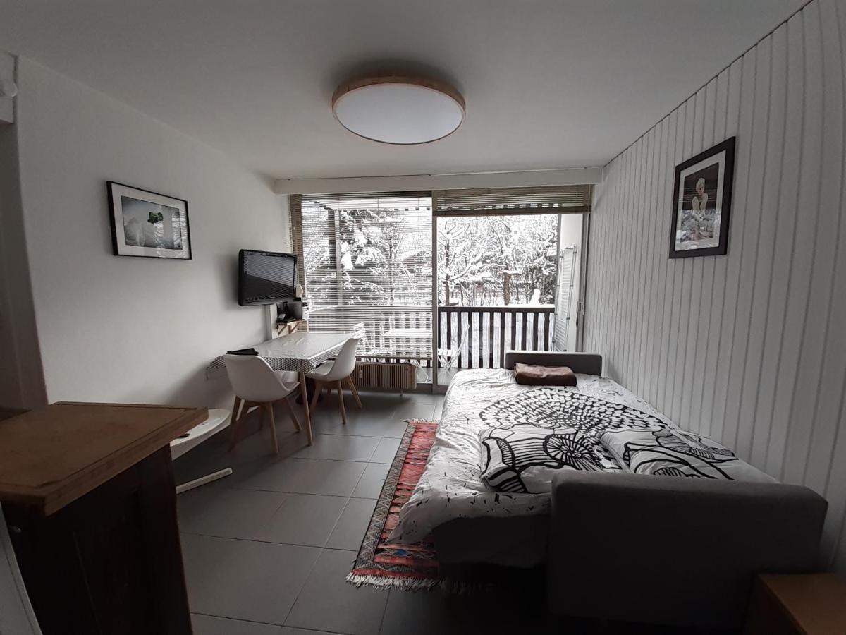 Studio Quartier Calme Centre Ville Vue Mont Blanc 샤모니 외부 사진