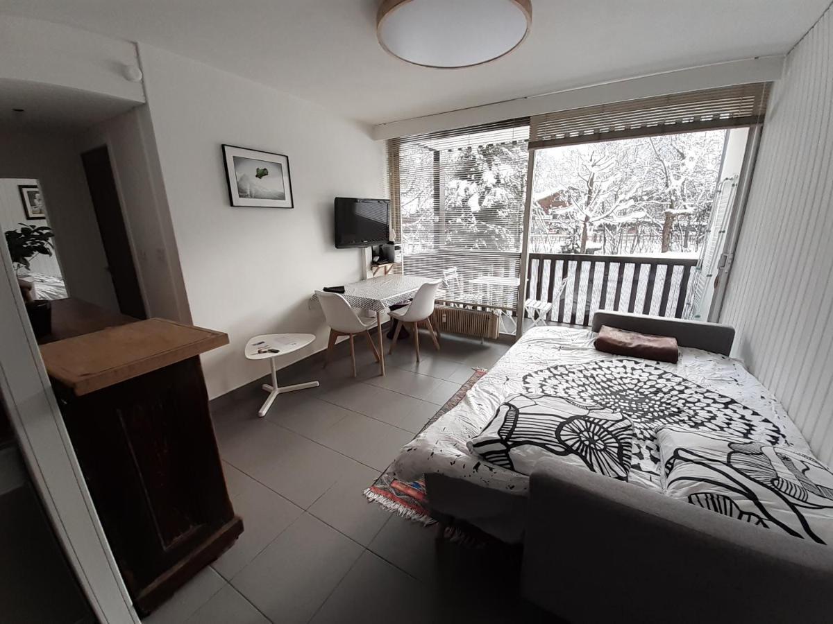 Studio Quartier Calme Centre Ville Vue Mont Blanc 샤모니 외부 사진