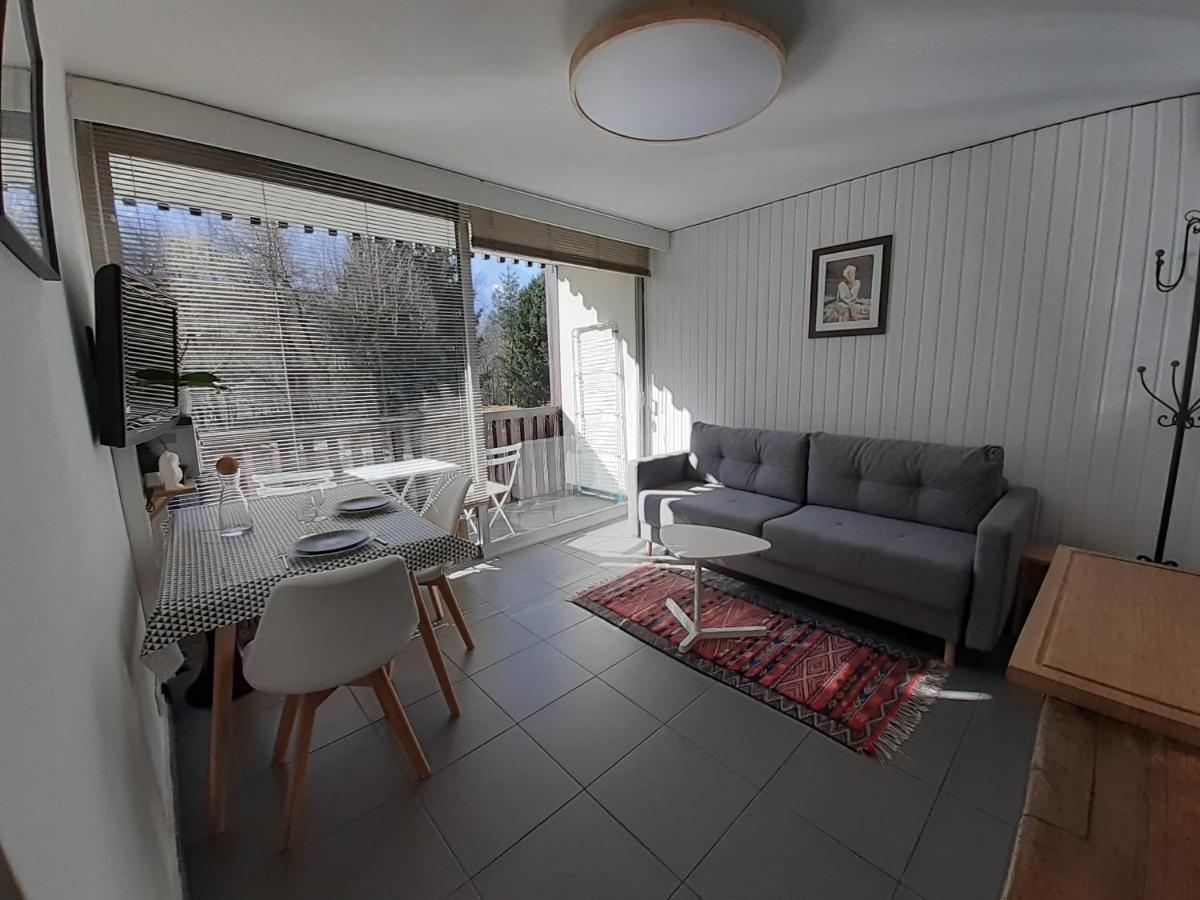 Studio Quartier Calme Centre Ville Vue Mont Blanc 샤모니 외부 사진